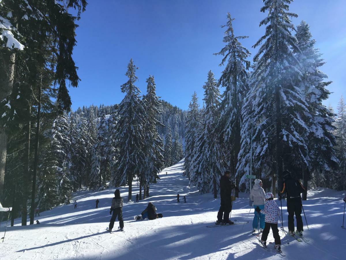 In Flora Borovets