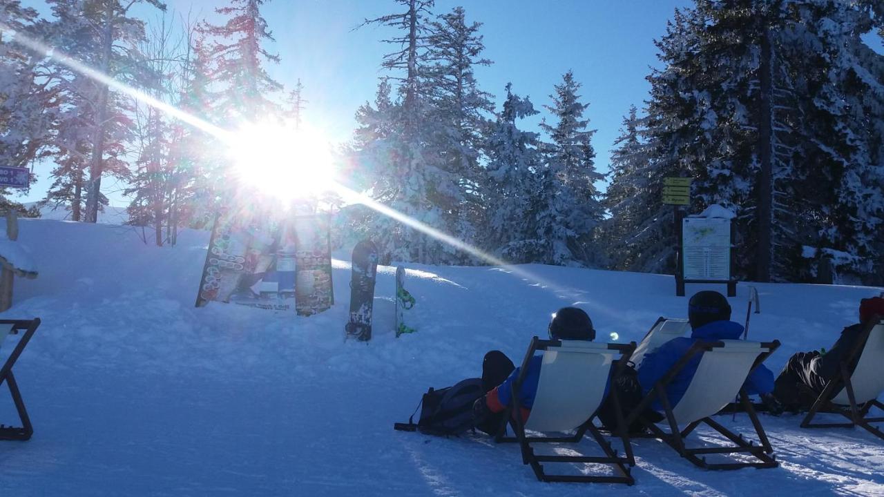 In Flora Borovets