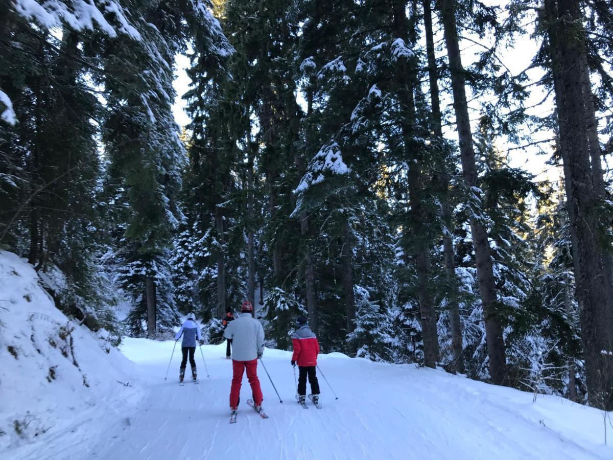 Apartment In Flora Borovets